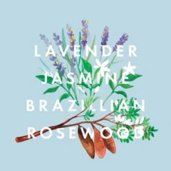 NEOM Real Luxury De-Stress Scented 1 Wick Candle -Illamasqua Sales 10970358 1674824843710985