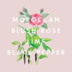 NEOM Organics Reed Diffuser: Complete Bliss -Illamasqua Sales 10970381 6544824845280555