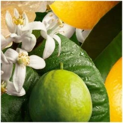 Molton Brown Orange And Bergamot Single Wick Candle -Illamasqua Sales 10999000 1244619561176188