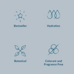 DHC Extra Night Time Moisture Cream -Illamasqua Sales 11207525 4344933196795739