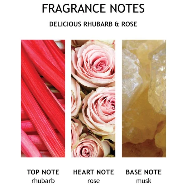 Molton Brown Rhubarb And Rose Three Wick Candle 480g 8 Molton Brown Rhubarb And Rose Three Wick Candle 480g - Image 6