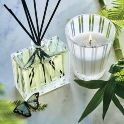 NEST New York Bamboo Reed Diffuser 175ml 5 NEST New York Bamboo Reed Diffuser 175ml -Illamasqua Sales 11288823 1724904688328701