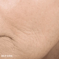 SkinCeuticals Triple Lipid Restore 2:4:2 -Illamasqua Sales 11290635 1314782934726821