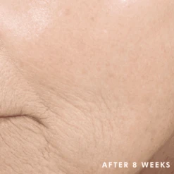 SkinCeuticals Triple Lipid Restore 2:4:2 -Illamasqua Sales 11290635 2344782934615269