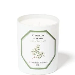 Carrière Frères Scented Candle Tea Plant - Camellia Sinensis - 185 G