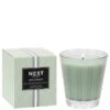 NEST New York Wild Mint And Eucalyptus Classic Candle 230g -Illamasqua Sales 13105926 1744911704059491