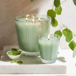 NEST New York Wild Mint And Eucalyptus Classic Candle 230g -Illamasqua Sales 13105926 3894911704258565
