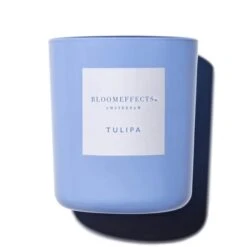 Bloomeffects Tulipa Candle 12.3 Oz