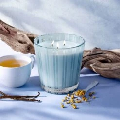 NEST New York Driftwood And Chamomile Scented Candle 600g 8 NEST New York Driftwood And Chamomile Scented Candle 600g -Illamasqua Sales 13534971 5634928088158571