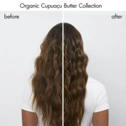 KLORANE Nourishing And Repairing Mask 150ml -Illamasqua Sales 13601975 1854930926869535