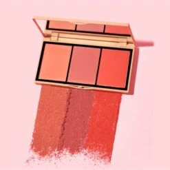 Jason Wu Beauty Blush Trio 14.4g -Illamasqua Sales 14192167 1335014888542870